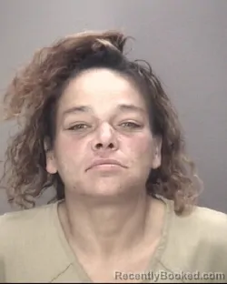 Mugshot of SUZETTE RENEE HAGGINS