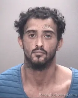 Mugshot of THOMAS LOCKLEAR