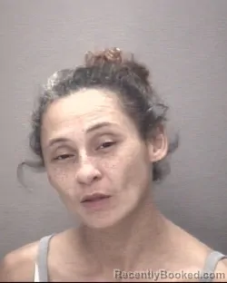 Mugshot of LYNETTE NICOLE HUNT booked in Robeson County, North Carolina on June 16, 2026