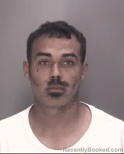 Booking photo from Robeson County, North Carolina