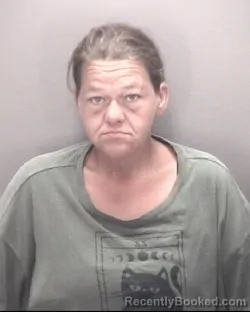 Mugshot of Hope Danielle Mendez booked in Robeson County, North Carolina on October 17, 2026