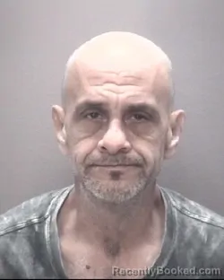 Mugshot of JAMIE LYNN CHAVIS