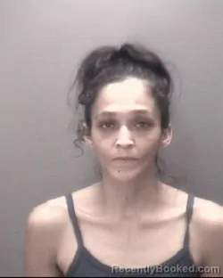 Mugshot of SONJIE LOCKLEAR booked in Robeson County, North Carolina on June 28, 2026