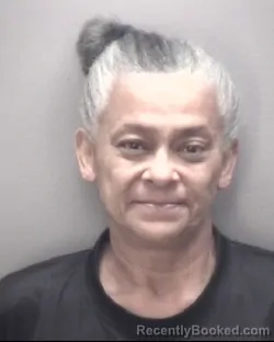 Mugshot of LISA CAROL JACOBS