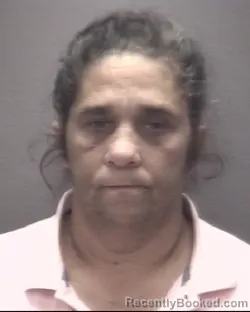 Mugshot of SANDRA DEAN LOCKLEAR booked in Robeson County, North Carolina on June 16, 2026