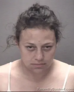 Mugshot of MELINDA ELLEN LOCKLEAR booked in Robeson County, North Carolina on July 3, 2026