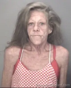 Mugshot of Cynthia Scarborough booked in Robeson County, North Carolina on August 7, 2026