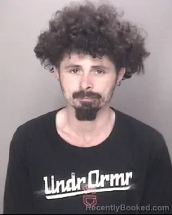 Mugshot of BRIAN ANTHONY EVERETTE
