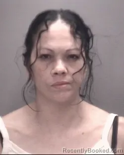 Mugshot of BROOKE RENEE LOCKLEAR