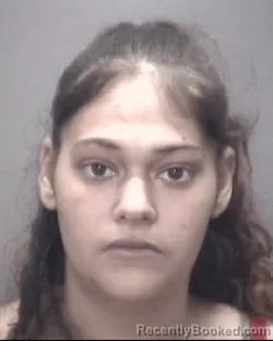 Mugshot of BRANDY LEE booked in Robeson County, North Carolina on May 11, 2026