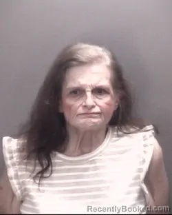 Mugshot of KAREN BROWN BRUCE booked in Robeson County, North Carolina on July 21, 2026