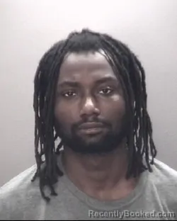 Mugshot of HURLEY WINFORD HEMINGWAY