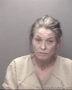 Mugshot of BARBARA MICHELLE BRYAN-MCGLONN booked in Robeson County, North Carolina on June 22, 2026