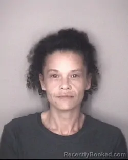 Mugshot of BRANDY CHANEL LOCKLEAR