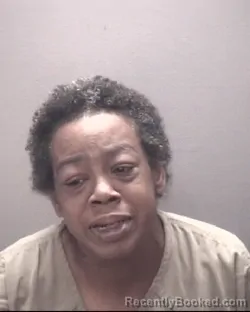 Mugshot of DOROTEA JONA WILLIAMS booked in Robeson County, North Carolina on May 1, 2026