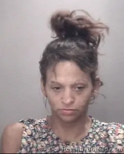 Mugshot of SABRINA DANIELLE LOCKLEAR booked in Robeson County, North Carolina on July 2, 2026