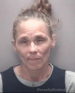 Mugshot of CHELSEA MARIE NORTON booked in Robeson County, North Carolina on April 24, 2026