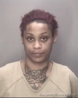 Mugshot of TAMARA SMALL