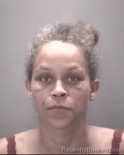 Mugshot of Samantha Thompson booked in Robeson County, North Carolina on August 20, 2026