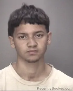 Booking photo from Robeson County, North Carolina