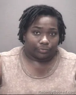 Mugshot of ASHLEY JOEANN ELLERBY booked in Robeson County, North Carolina on July 14, 2026