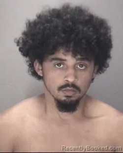 Mugshot of NEHEMIAH RAY LOCKLEAR