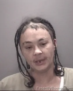 Mugshot of JESSICA LYNN CLARK