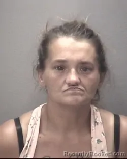 Mugshot of WENDY CHAVIS booked in Robeson County, North Carolina on July 5, 2026