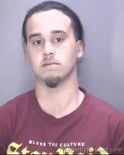 Mugshot of STACEY JOHN LOCKLEAR