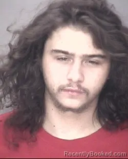 Mugshot of JADAN HARDY