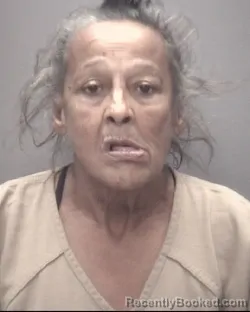 Mugshot of SHELBY JEAN MCMILLAN booked in Robeson County, North Carolina on April 4, 2026