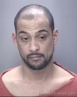 Mugshot of SANFORD LOWERY