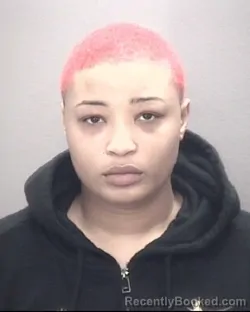 Mugshot of NIA SAMONE GILLISON booked in Robeson County, North Carolina on April 3, 2026