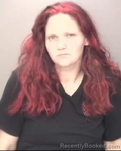 Mugshot of ERICA DANELLE NOLAND