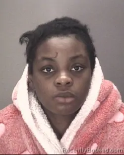 Mugshot of HONESTEE DOCKERY