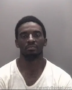 Mugshot of DAMIN LAMON WILLIAMS