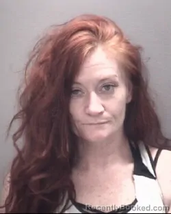 Mugshot of Sherry Everitte booked in Robeson County, North Carolina on August 24, 2026