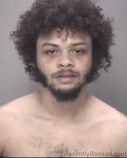 Mugshot of TRELLIS MARDELL MACK