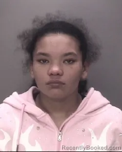 Mugshot of ANASTASIA HAMILTON