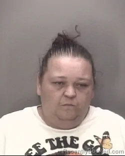 Mugshot of DONNA FARRELL