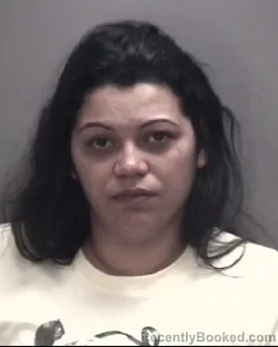 Mugshot of ASHLEY BROOKS HUNT