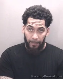 Mugshot of PEDRO JULIO SOSA