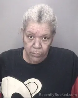 Mugshot of DIANE GRACE PRATT