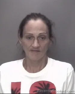 Mugshot of Damaris Maritza Cruz booked in Robeson County, North Carolina on August 14, 2026
