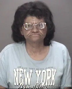 Mugshot of RITA ANN LISENBY