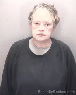 Mugshot of Vinita Lynn Locklear booked in Robeson County, North Carolina on October 7, 2026