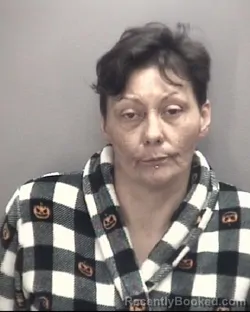 Mugshot of AMY HUNT booked in Robeson County, North Carolina on April 3, 2026