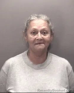 Mugshot of Lisa Dial Locklear booked in Robeson County, North Carolina on August 23, 2026