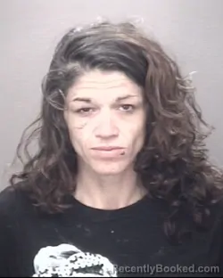 Mugshot of SHENELLE NICOLE LOCKLEAR booked in Robeson County, North Carolina on June 16, 2026