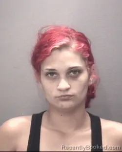 Mugshot of Hannah Nicole Britt booked in Robeson County, North Carolina on August 14, 2026